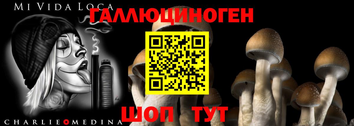 Псилоцибиновые грибы Magic Shrooms  Вход с VPN  Кудрово 